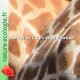 Lombricomposteur Mini 40 Litres nature-ecologie.fr